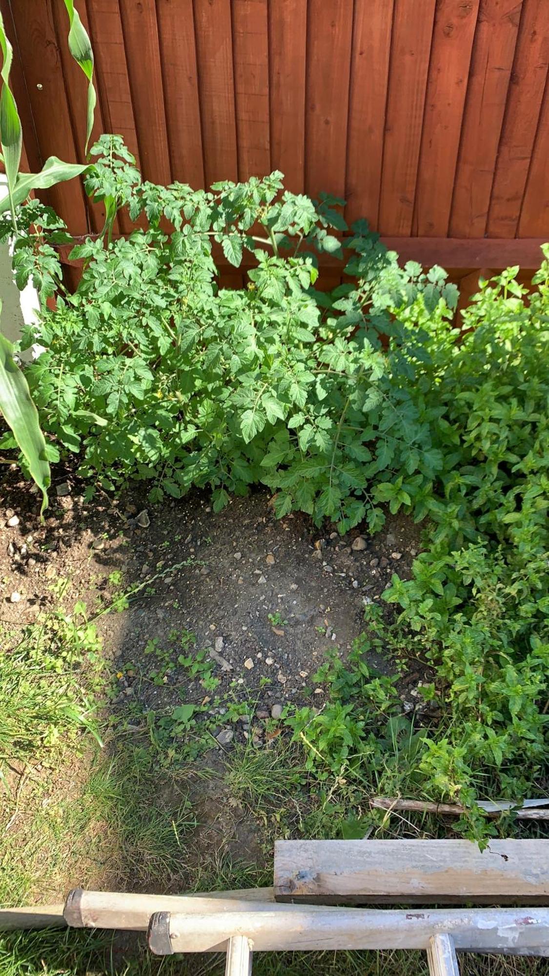 Queenomega'S Home Stay London Exterior photo